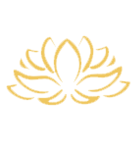 cropped site favicon